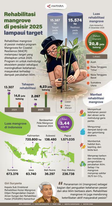 Rehabilitasi mangrove di pesisir 2025 lampaui target