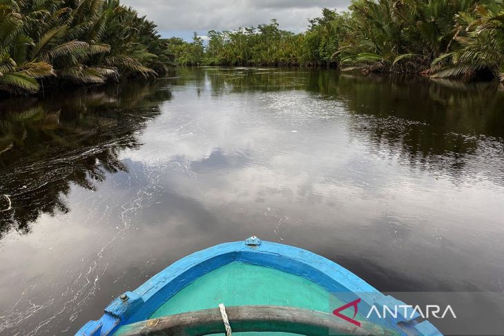 Memahami hutan, menyayangi ibu dan menyelamatkan kehidupan