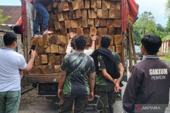 Hutan yang menyusut, bencana mendekat